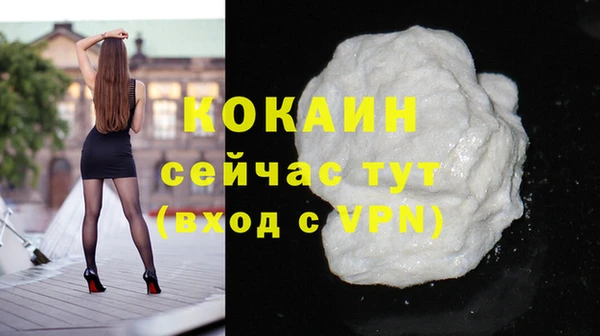 шишки Армянск