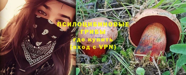шишки Армянск
