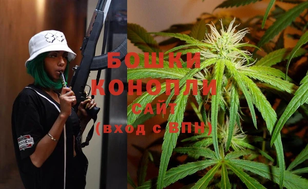 шишки Армянск