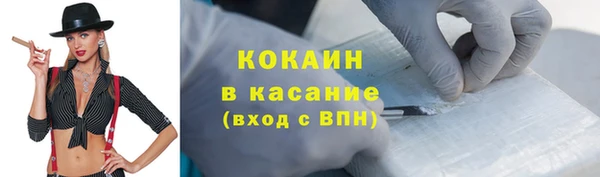 шишки Армянск