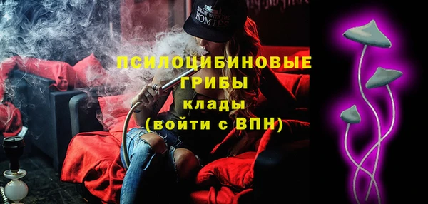 шишки Армянск
