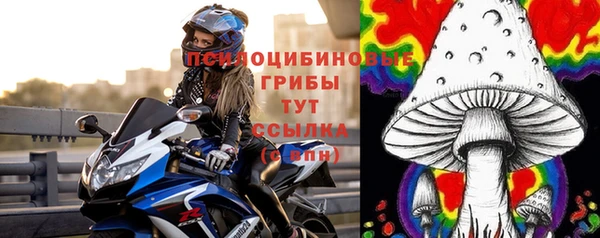 шишки Армянск