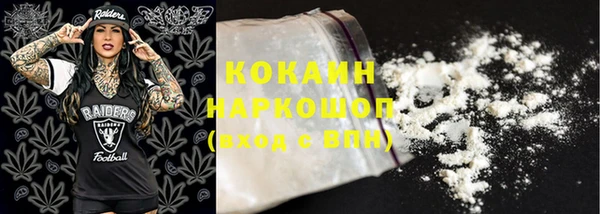 шишки Армянск