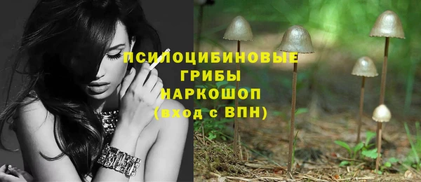 МДПВ Аркадак