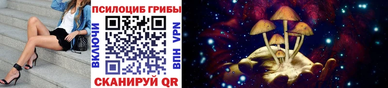 Купить где  Буй  Псилоцибиновые грибы прущие грибы 