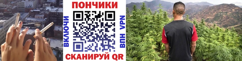 Шишки марихуана Bruce Banner  Купить  Буй 
